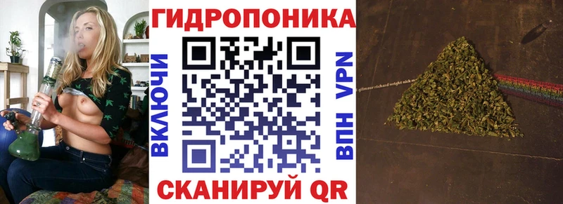 ГАШИШ Берёзовка
