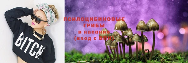 прущие грибы Лиски
