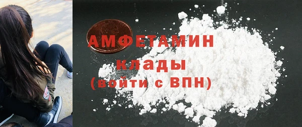 Альфа ПВП Лагань