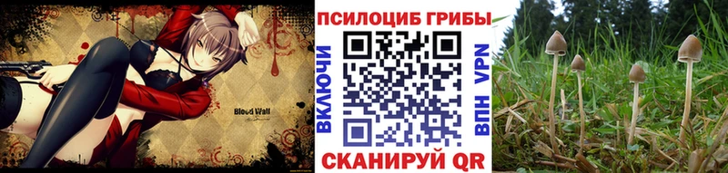 Псилоцибиновые грибы GOLDEN TEACHER  Купить где  Берёзовка 